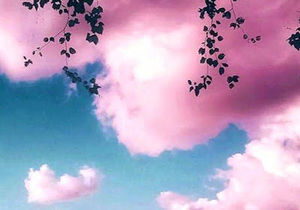 Meet your Posher, Ella